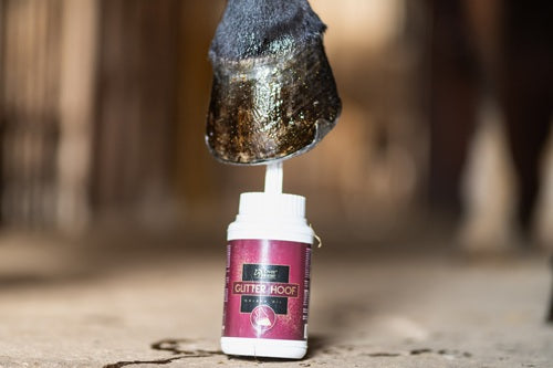 Olio per zoccoli con glitter dorati