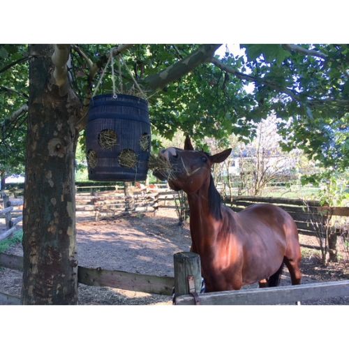 Cesta appendibile per fieno