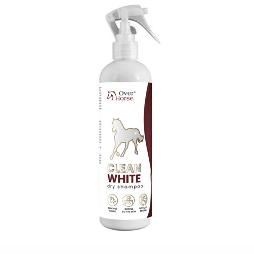 Shampoo Secco Smacchiante