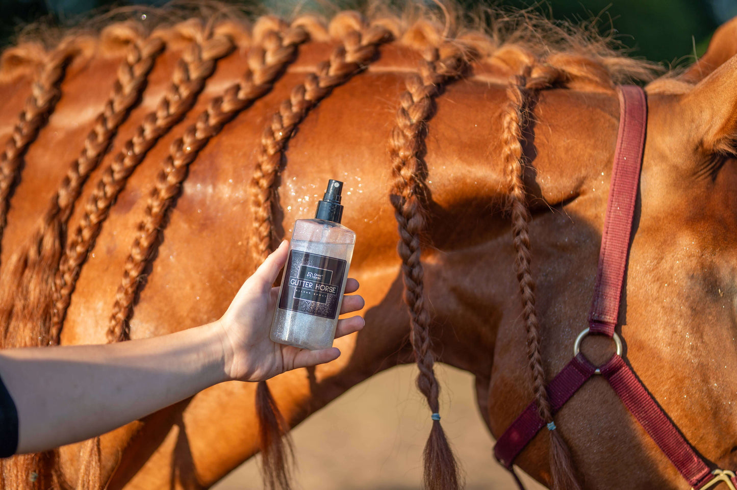 Glitter Horse Silver Spray