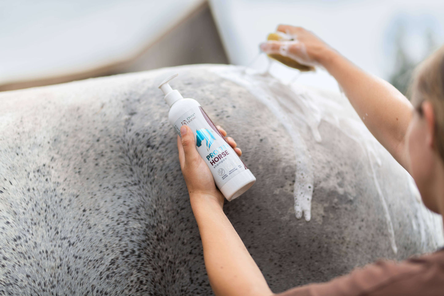 Protein Horse Shampoo